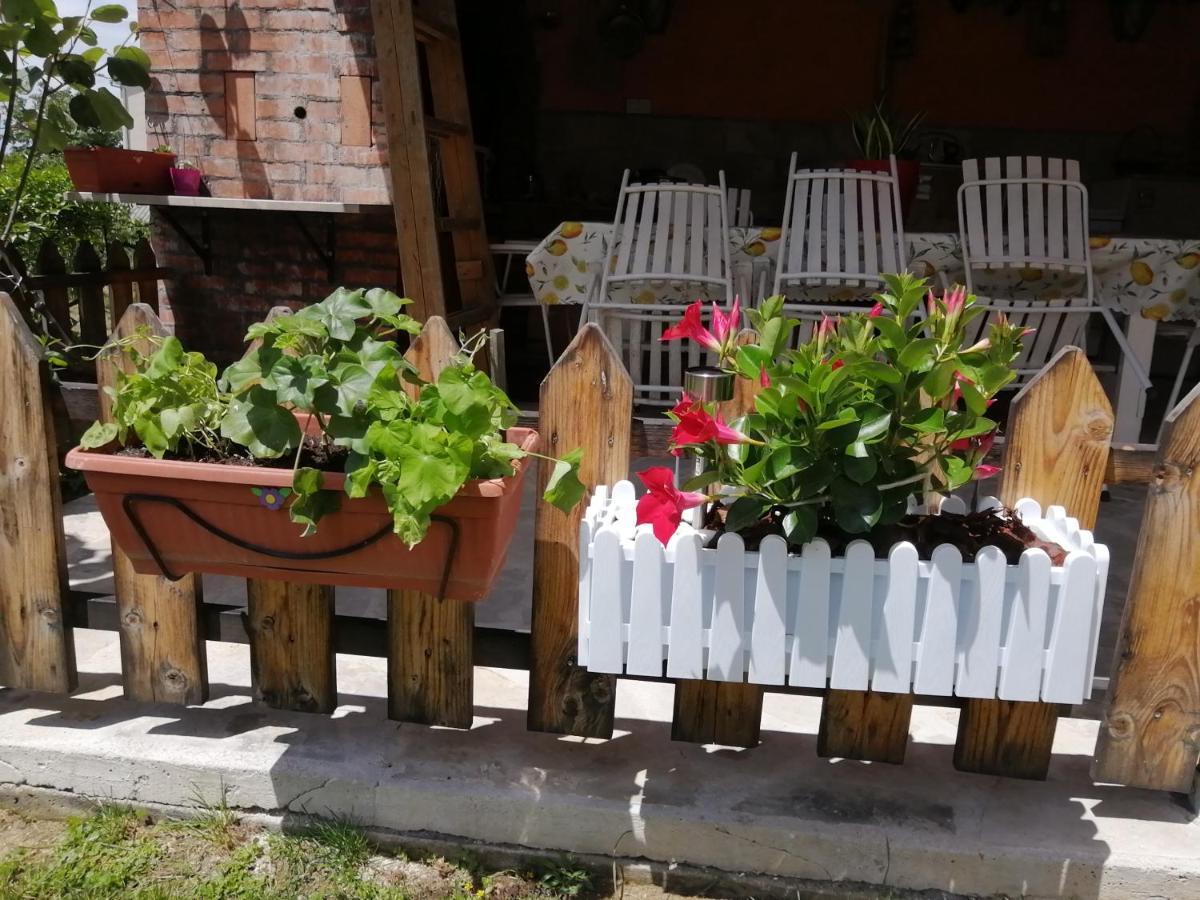Ninic Family Apartments Тиват Екстериор снимка